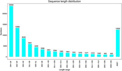 Transcriptome Sequencing Reveals the Antiviral Innate Immunity by IFN-γ in Chinese Sturgeon Macrophages